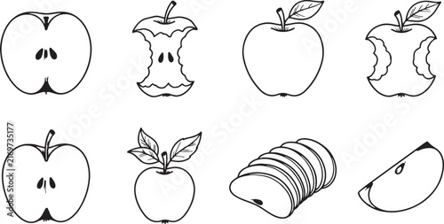 Doodle set of apples, hand drawn vector icons, black outline illustration for healthy food and fruit concept.