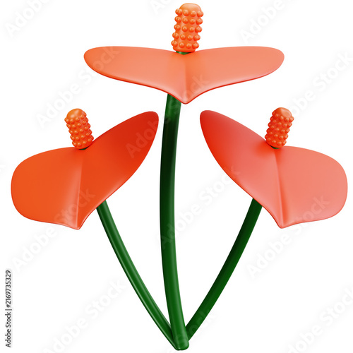 Orange Anthurium Flowers 3D Illustrations