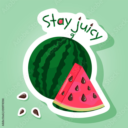Cute vector watermelon sticker with Stay juicy quote, fresh summer fruit slice illustration, cartoon design for t-shirt, patch, badge, and print.