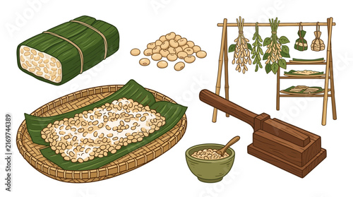 Tempeh Production Traditional Indonesian Fermented Soy Food Illustration