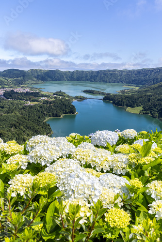 Quadro su tela Azores view of Sete Cidades with Hydrangeas flowers landscape nature on Sao Migu
