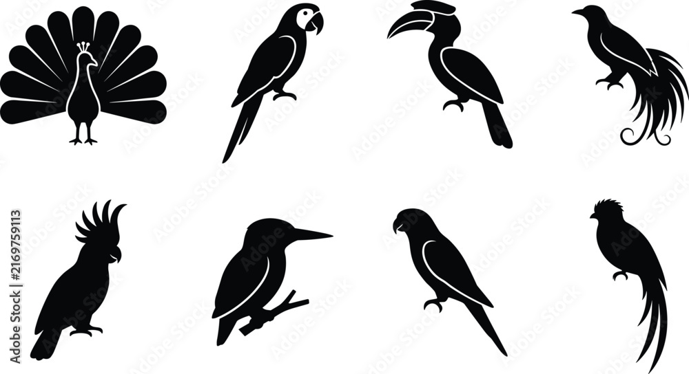 Fototapeta premium Set of black tropical bird silhouettes featuring peacock, macaw parrot, hornbill, cockatoo, kingfisher, and exotic quetzal isolated on white background