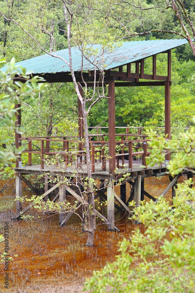 Fototapeta premium Tourism infrastructure in Sarawak, Malaysia. Hiking trail boardwalk rest point in mangrove area in Bako National Park in Borneo, Malaysia.