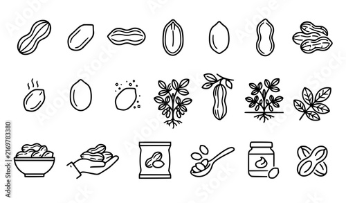 Peanut Line Icon Collection with Groundnut Shell Kernel Snack Food and Agriculture Symbols EPS10