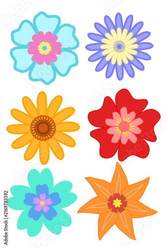 Set of Geometric Floral Elements and Daisy Vector Illustrations