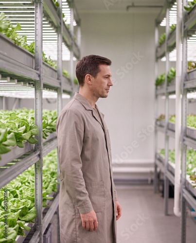 Agronomist inspecting lettuce in a multilevel vertical farm