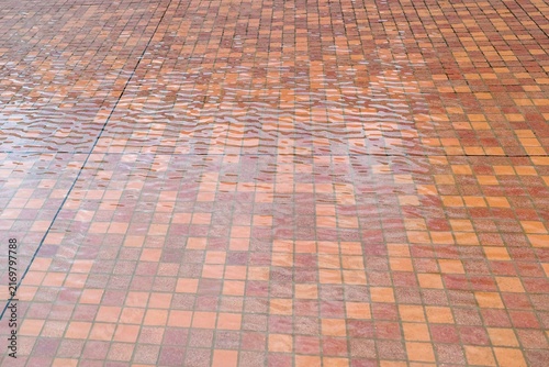 Red Brick Paving Pattern on an Outdoor Plaza
