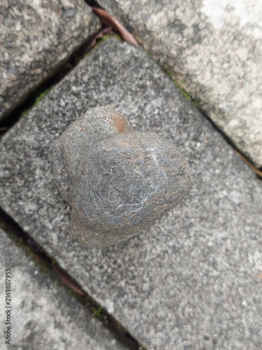 A single small grey stone resting on a textured concrete pavement surface.