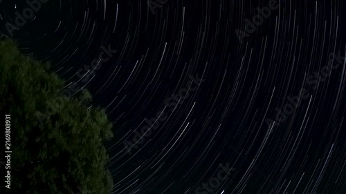Long Exposure Night Sky with Rotating Star Trails and Tree
