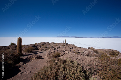 Obraz na płótnie Incahuasi island with giant cactus in Salar de Uyuni salt flat Bolivia
