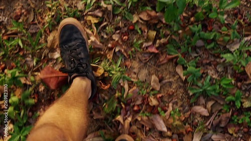 Person Walks Along a Leaf Covered Forest Trail, First Person View Shows Black Sneakers and Bare Legs, Supporting Outdoor Exercise and Nature Lifestyle