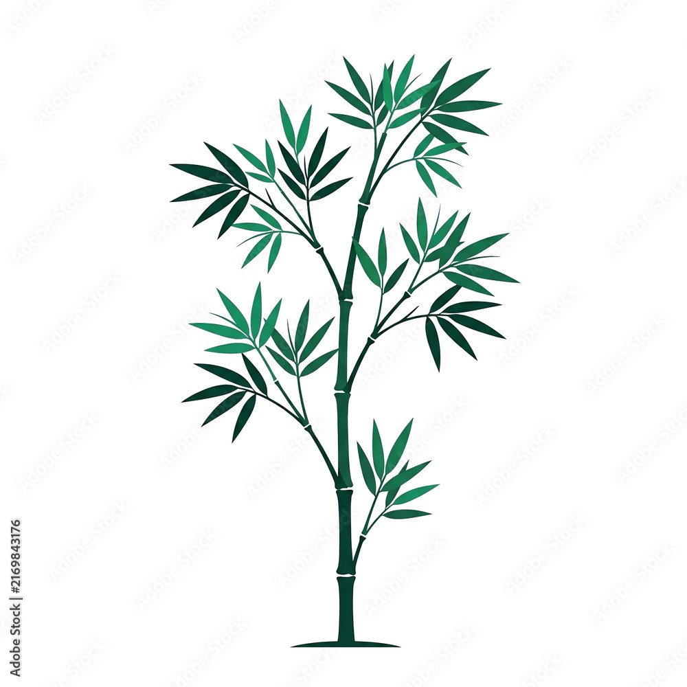 Fototapeta premium Elegant Green Bamboo Stalk with Lush Leaves Isolated on a Solid Black Background for Asian Nature Design Projects