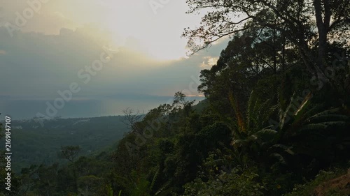 Lush Tropical Forest Covers a Hillside Above Calm Ocean Water at Sunset, Framing a Serene Nature and Travel Landscape