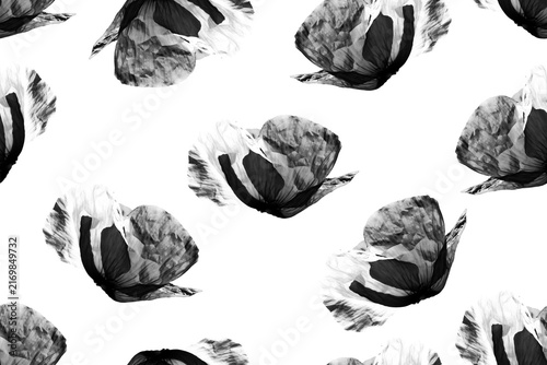 Seamless pattern of black illustrated poppy flowers