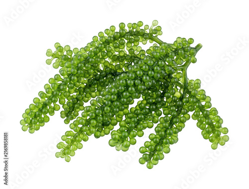 Fresh Sea Grapes Bunch With Green Texture For Food Menu