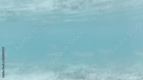 Horizontal underwater scene with large school of fish swimming over rocky reef, 4K