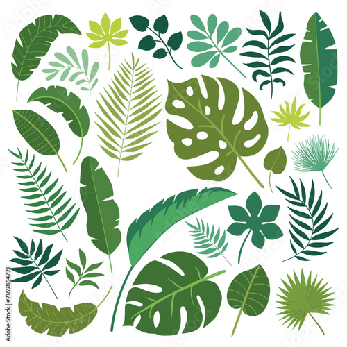 Colorful tropical leaves and foliage illustration set.