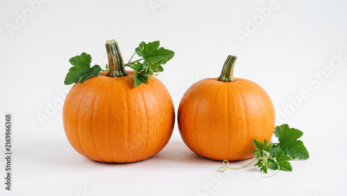 Two fresh orange pumpkins with green leaves and vines isolated on white background