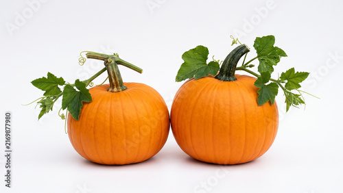 Two fresh orange pumpkins with green stems and leaves isolated on white background