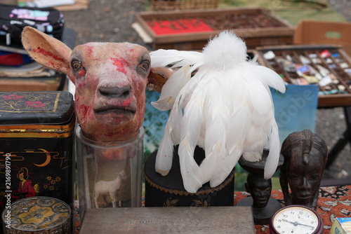 A creepy preserved lamb head with red markings sits alongside white feathers and vintage collectibles at an outdoor flea market
