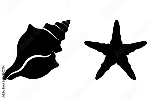 Seashell and starfish silhouettes against a white background symbolizing summer vacation and ocean themes