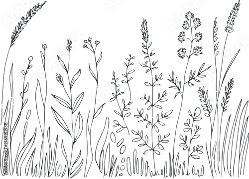 Sketch grass. Doodle grassy plants. Hand drawn outline silhouette wild herb field border. Springs garden lawn, flower grasses bush. Vector meadow pattern set on No Background