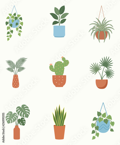 Flat Vector Potted Indoor Houseplants Collection Set