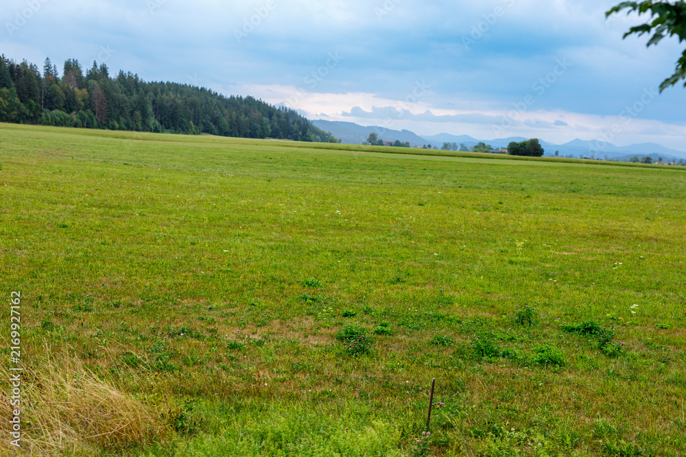 Naklejka premium Expansive green meadow leading to a dense forest and distant mountains under a cloudy sky.