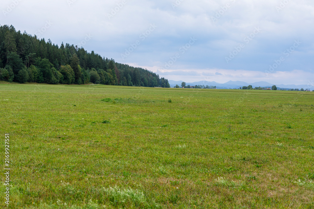 Naklejka premium Vast green meadow stretches towards a dense forest line, with mountains visible under a cloudy sky.
