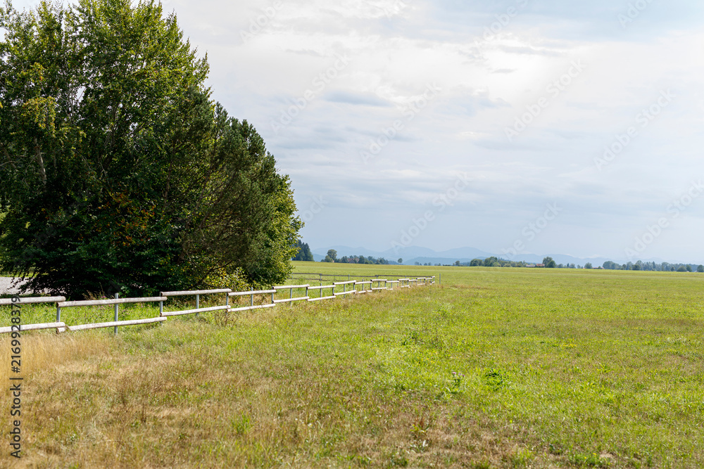 Naklejka premium Expansive green meadow with a rustic fence, lush trees, and distant mountains under a cloudy sky.
