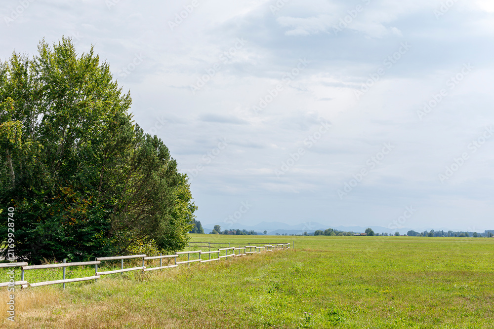Naklejka premium Expansive green field with a white fence, bordered by trees, under a cloudy sky with distant mountai