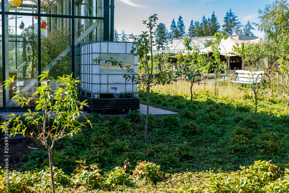 Naklejka premium Greenhouse and rainwater harvesting tank in a vibrant, sustainable garden setting on a sunny day.