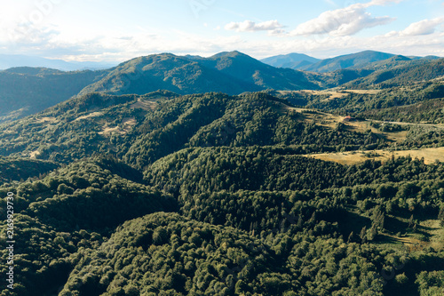 Expansive aerial landscape of densely forested mountains and rolling valleys illuminated by warm sunlight beneath a bright summer sky.