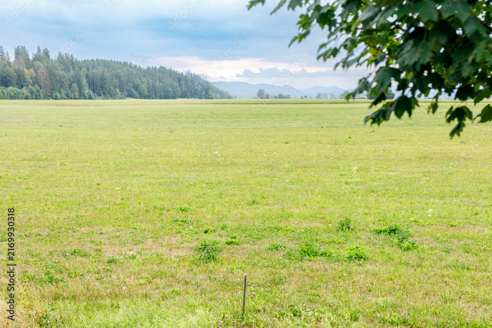 Naklejka premium Scenic view of a lush green field leading to a dense forest and distant mountains under a cloudy sky