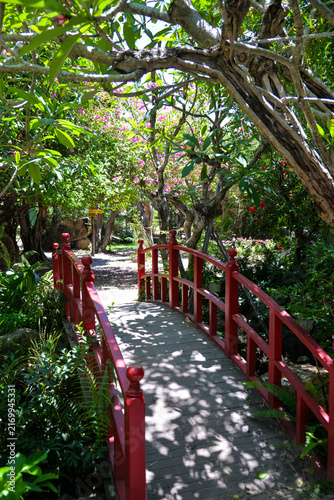 NHA TRANG, VIETNAM – JUNE 18, 2026: Red wooden footbridge surrounded by lush tropical vegetation at the Fairy Forest attraction in Nha Trang, Vietnam.