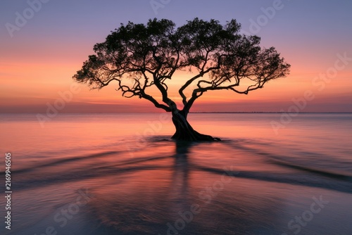 Solitary tree standing in a calm sea at sunset with golden reflections