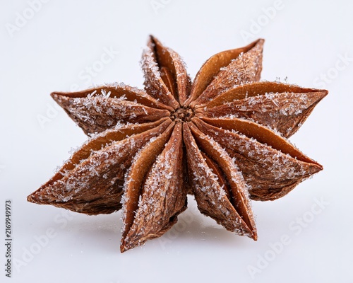 Star Anise Close-Up with Snowy Frost