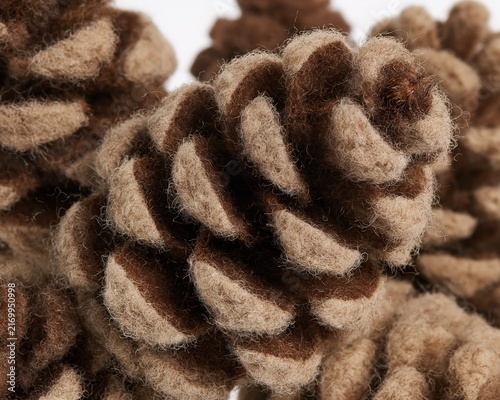 Close-up of Brown Pine Cones