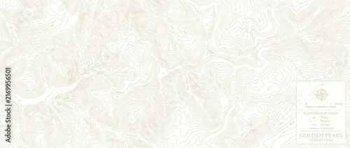 Canvastavla Topographic Map Contour Lines Isolated