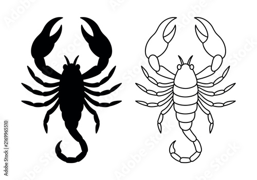 Scorpion silhouette and outline icon for danger or zodiac symbol.