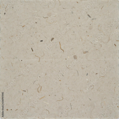 Recycled paper texture displays a natural beige surface with embedded organic fibers and rough flecks.