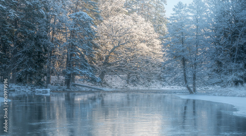 River landscape in a cold morning with snow and frost. Farnebofjarden national park in north of Sweden