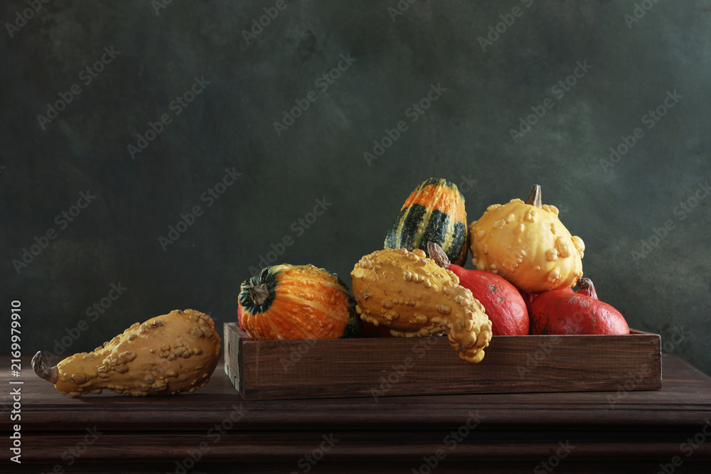 Fototapeta premium Still life of decorative gourds in wooden box. Dark background. Harvest season decor. Fresh autumn pumpkins with warty texture. Copy space
