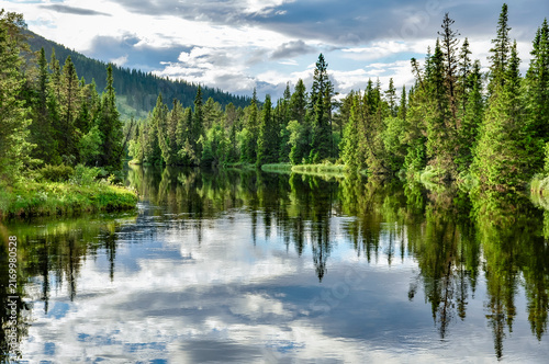 River landscape in a warm summer day in north of Sweden.