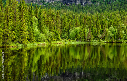 River landscape in a warm summer day in north of Sweden.