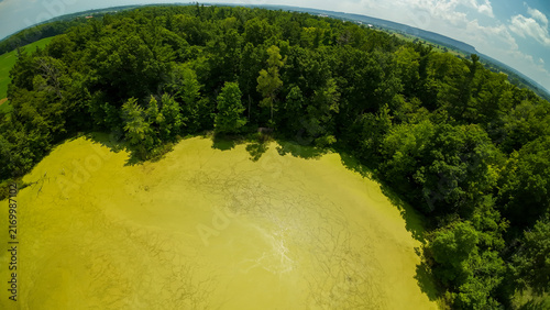 Quadro su tela A high angle drone view captures a thick layer of green textured algae on a country pond bordered by a dense forest tree line stretching toward a distant blue horizon in the summer