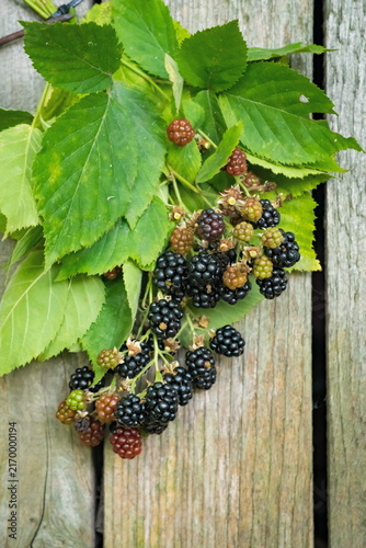 Blackberries, fresh fruits and green leaves on a natural wooden background; Rubus Fruticosus