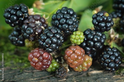 Blackberries, fresh fruits and green leaves on a natural wooden background; Rubus Fruticosus