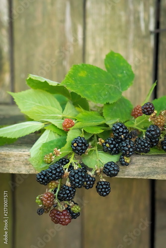 Blackberries, fresh fruits and green leaves on a natural wooden background; Rubus Fruticosus