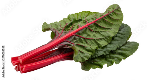 Vector illustration of fresh organic swiss chard leaves on a transparent background